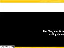 Sites similar to mdgrouplnf.com