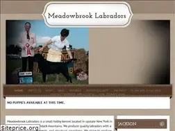 Sites similar to meadowbrooklabs.net