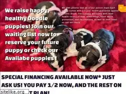 Sites similar to meadowwoodfarms.com