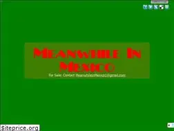 Sites similar to meanwhileinmexico.com