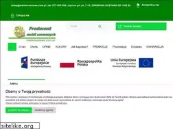 Sites similar to meblesosnowe.com.pl