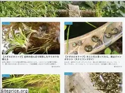 Sites similar to medakalife.com