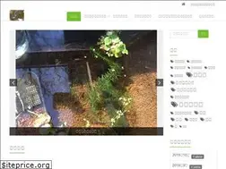 Sites similar to medakatoikiru.com