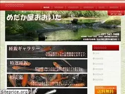 Sites similar to medakayaoita.com