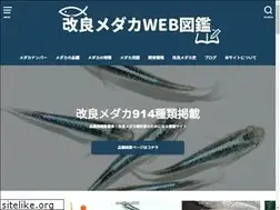 Sites similar to medakazukan.net