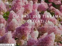 Sites similar to medelyna.lt