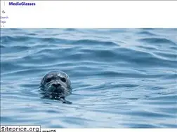 Sites similar to media-glass.es