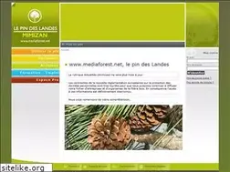 Sites similar to mediaforest.net