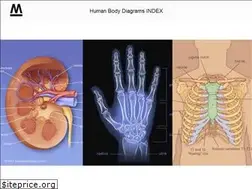 Sites similar to medicalartlibrary.com