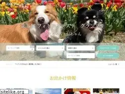 Sites similar to medistpet.jp