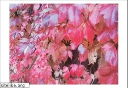 Sites similar to meditation-mediation.de