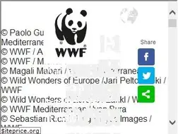 Sites similar to mediterranean.panda.org