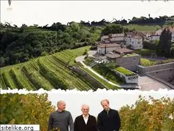 Sites similar to medot-wines.com