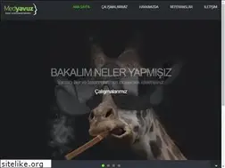 Sites similar to medyavuz.com