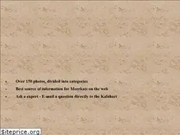 Sites similar to meerkats.net