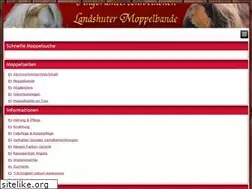 Sites similar to meerschweinchen-landshut.de