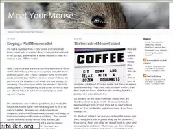 Sites similar to meetyourmouse.wordpress.com