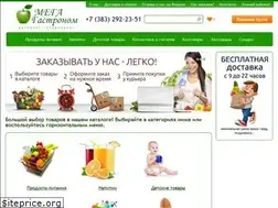 Sites similar to mega-gastronom.ru