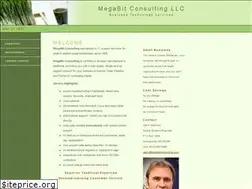 Sites similar to megabitconsulting.com
