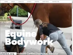 Sites similar to megandushin.com