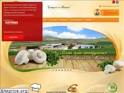 Sites similar to megatesnim.com