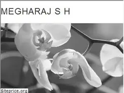 Sites similar to megharaj.com