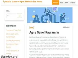 Sites similar to mehmetagile.com