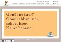 Sites similar to mehmetefendi.com