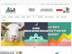 Sites similar to mehmeteminsoylu.com