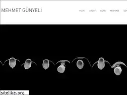Sites similar to mehmetgunyeli.com