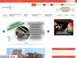 Sites similar to mehmethocam.com
