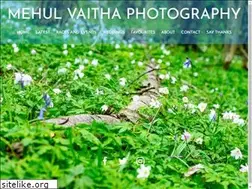 Sites similar to mehulvaitha.com