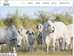 Sites similar to meierranchtx.com