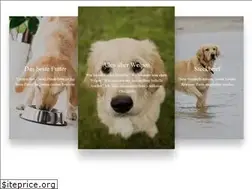 Sites similar to mein-golden-retriever.de