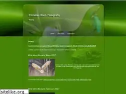 Sites similar to meisterdeslichts.com