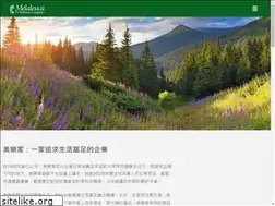 Sites similar to melanotebook.com