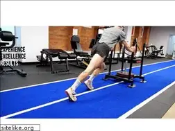 Sites similar to melbournecbdphysio.com.au