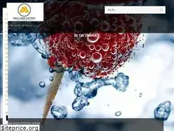 Sites similar to melchersystem.com