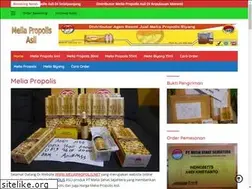 Sites similar to meliapropolis.net