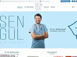 Sites similar to melihsengul.com