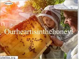 Sites similar to melinda.gr