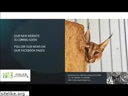 Sites similar to meliospetpark.eu