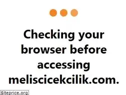 Sites similar to meliscicekcilik.com