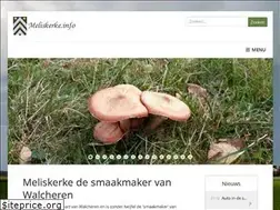 Sites similar to meliskerke.info