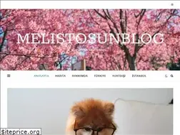 Sites similar to melistosun.com
