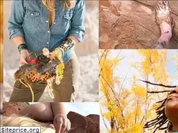 Sites similar to mellissaelucia.wordpress.com