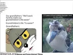 Sites similar to memebase.cheezburger.com