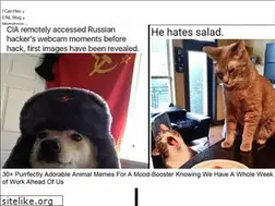 Sites similar to memedates.cheezburger.com