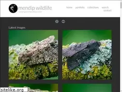 Sites similar to mendipwildlifephotography.co.uk