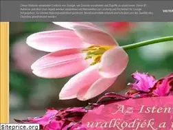Sites similar to mennyeikincseslada.blogspot.com